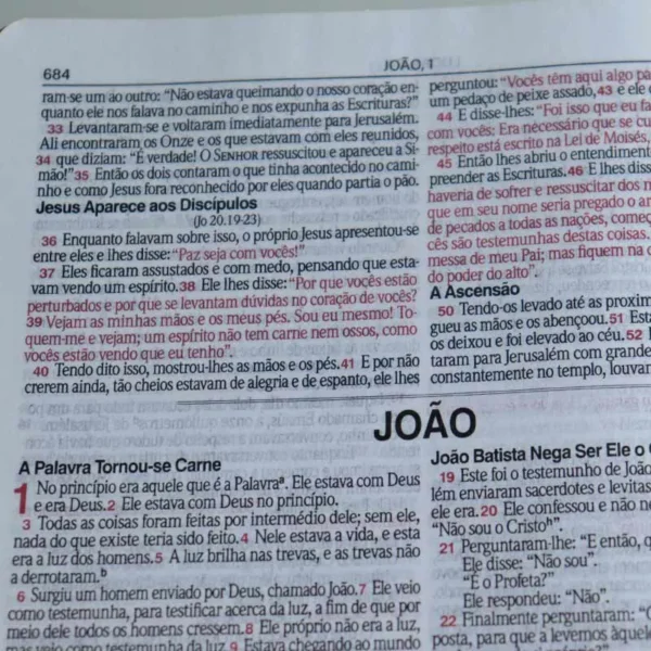 Bíblia Sagrada Slim | LETRA GRANDE | NVI | Preto e Vinho | Luxo