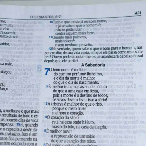 Bíblia Sagrada Slim | LETRA GRANDE | NVI | Preto e Vinho | Luxo