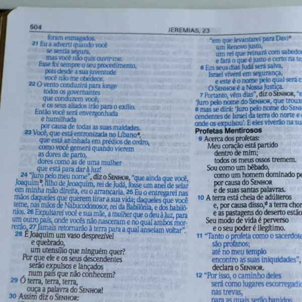 Bíblia Sagrada Slim | LETRA GRANDE | NVI | Preto e Vinho | Luxo